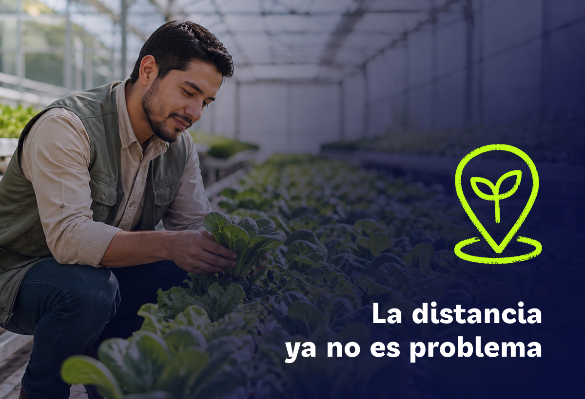Caso de uso: Cómo encontrar un perfil especializado cuando el talento no está cerca